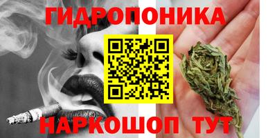 тгк Волгодонск