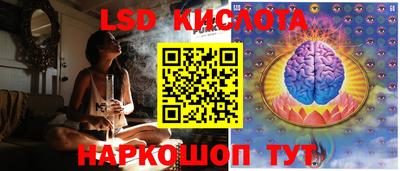 прущие грибы Волжск