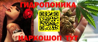 прущие грибы Волжск
